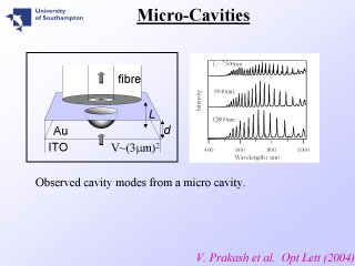 25. Micro-Cavities