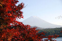 7. Autumn near Fuji san