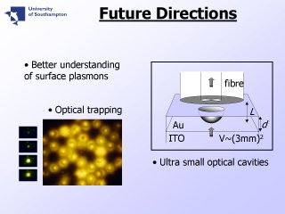 12. Future Directions