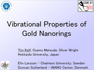 1. Vibrational Properties of Gold Nanorings