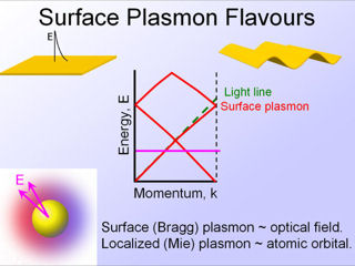 5. Surface Plasmon Flavours