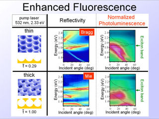 24. Enhanced Fluorescence