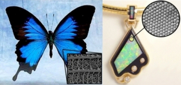A butterfly's wing and an opal, microscopic structure shown in inset.
