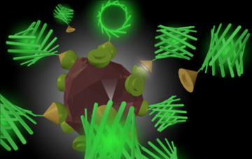 A Nano-diamond with barnase-barnstar linkers attaching a green fluorescent molecules