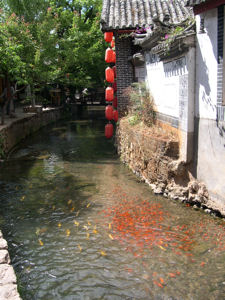 Stream near the main street, Lijiang