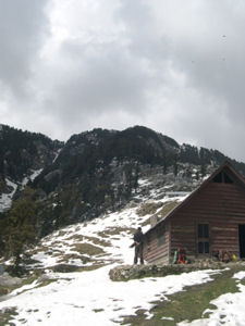 Triund