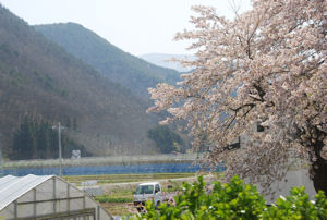 Towards Yamagata