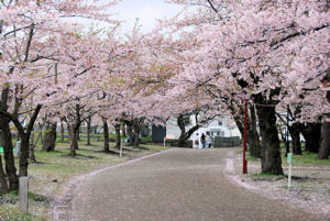 Morioka Iwate koen