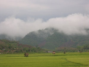 Luang Nam Tha