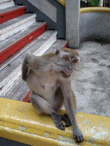 Batu Caves