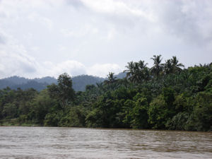 Taman Negara